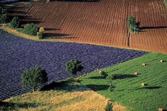 Самые красивые фото земли, увиденной с неба 