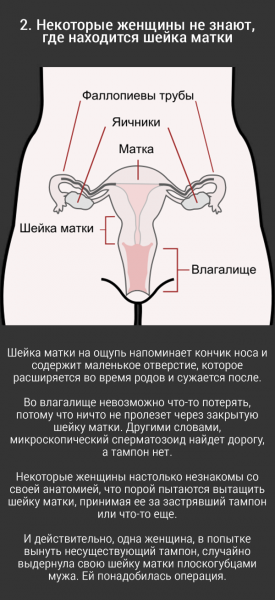 10 жутковатых фактов о влагалище