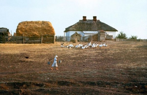 Летний досуг советской молодежи в конце 1960-х