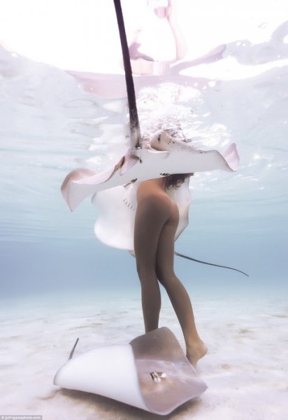 Модель из Таити обнаженной купается с акулами и скатами