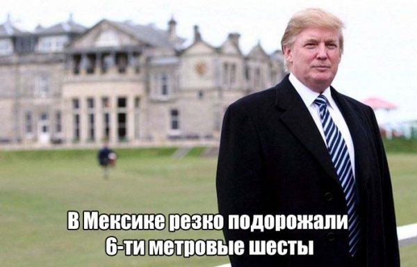 Смешные мемы на тему победы Дональда Трампа в президентских выборах в США