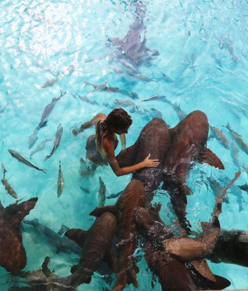 22-летняя студентка путешествует по экзотическим местам и делает снимки с удивительными животными