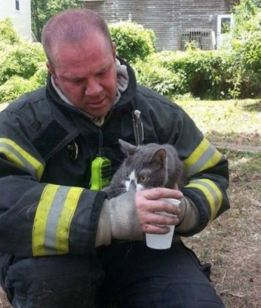 Пожарные и спасенные ими животные