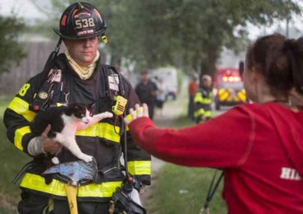 Пожарные и спасенные ими животные