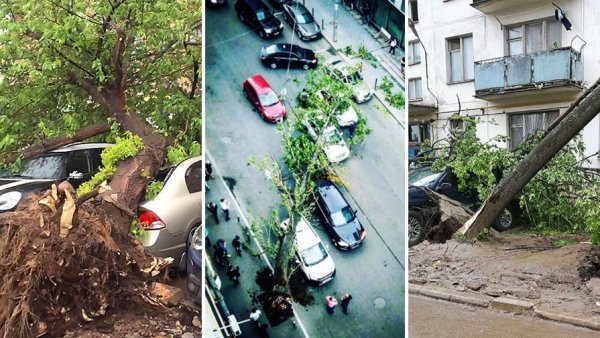 Последствия урагана в Москве