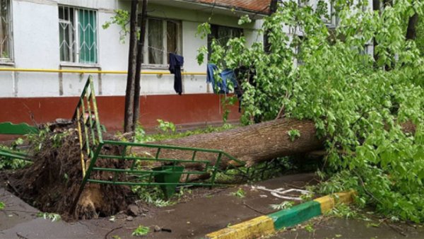 Последствия урагана в Москве