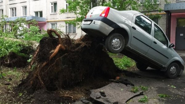 Последствия урагана в Москве