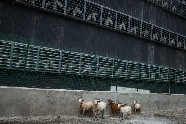 Невеселая ферма: майнинг биткоинов в китайских масштабах