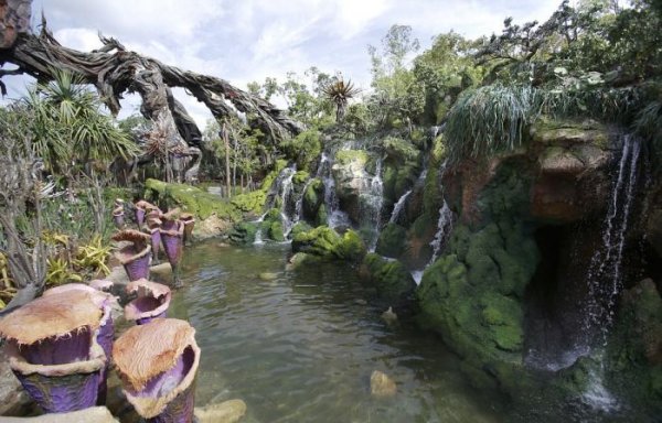 Тематический парк Pandora World of Avatar land в Disney World