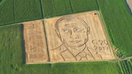 Итальянский фермер нарисовал портрет Путина на своем поле