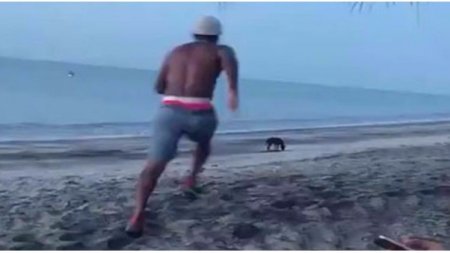 Видео: Решивший обидеть собаку парень испытал на себе «закон бумеранга»	