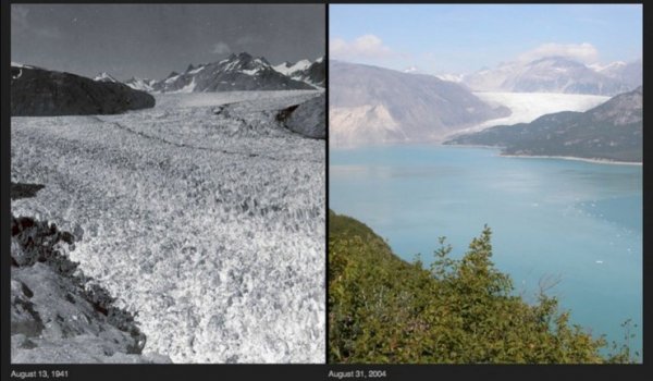 Фото, на которых видны последствия глобального потепления в природе