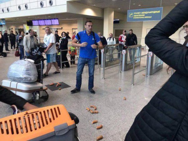 Алексея Навального обвешали сардельками в аэропорту