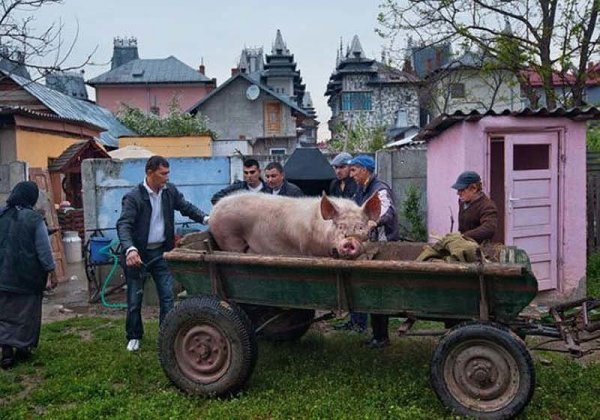 Простая жизнь цыганских миллионеров из города Бузеску