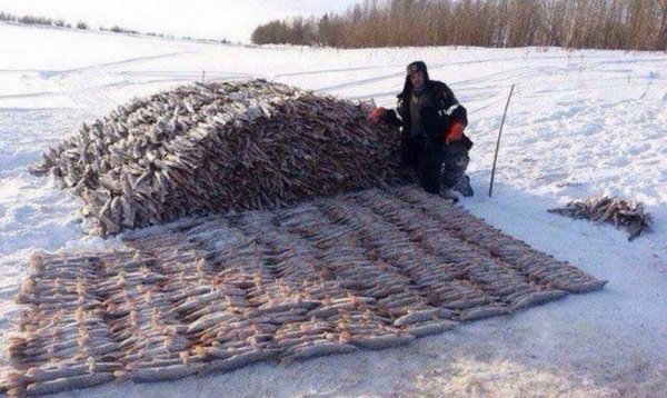 15 фото российской действительности, которые ужасают иностранцев