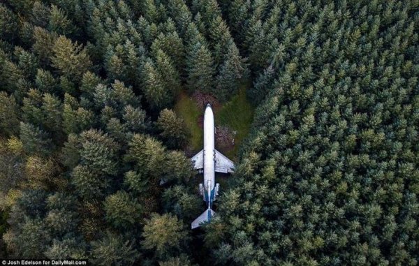 Американский пенсионер уже 15 лет живет в самолёте посреди леса