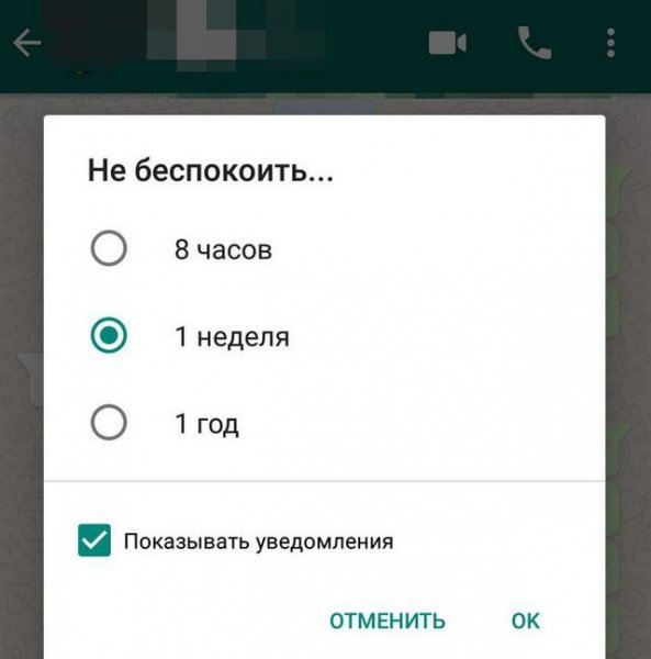 20 фишек WhatsApp, которые превратят вас в гуру онлайн общения