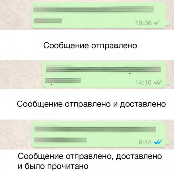 20 фишек WhatsApp, которые превратят вас в гуру онлайн общения