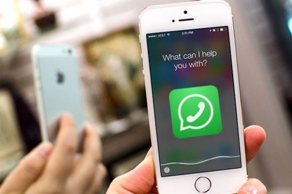 20 фишек WhatsApp, которые превратят вас в гуру онлайн общения