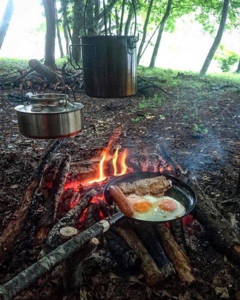 25 «вкусных» фотографий, после которых хочется бросить всё и уехать на природу