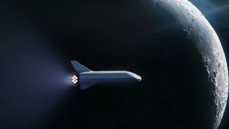 SpaceX выбрал первого космического туриста