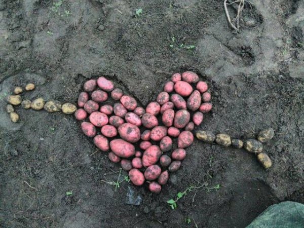 Фотографии с просторов нашей бескрайней