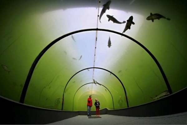Необычный туннель под озером в Чехии