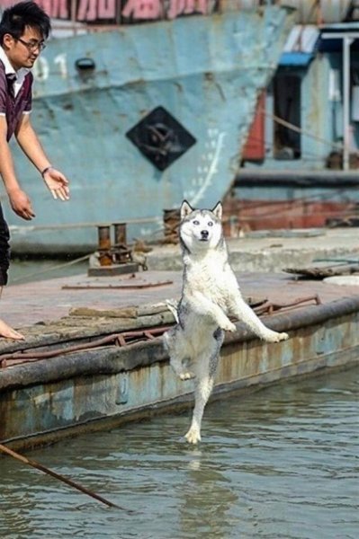 28 эпичных фотографий, которые были сделаны в идеальный момент