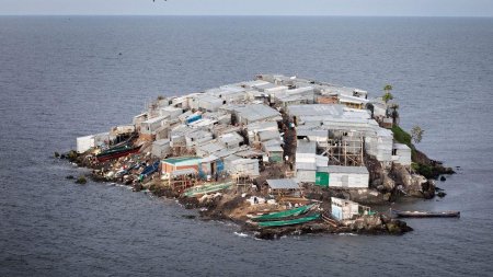 Яблоку негде упасть: остров Мгинго с самой высокой плотностью населения