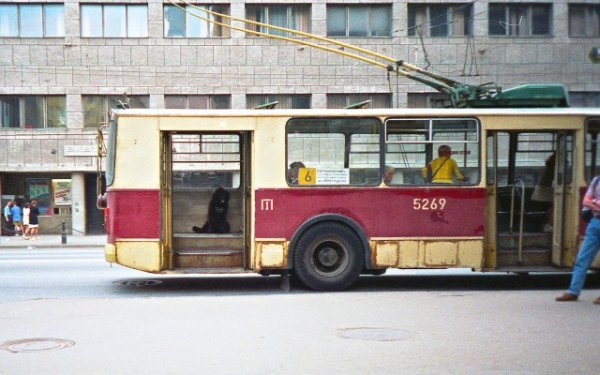 Петербург девяностых