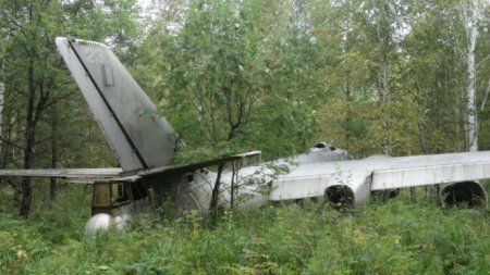 Грибник в лесу случайно нашел самолет-призрак времен Второй мировой