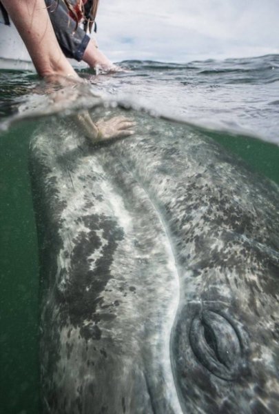 Яркие фото вместо тысячи слов