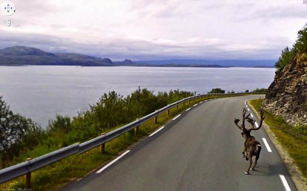 Необычные снимки, сделанные камерами Google Street View