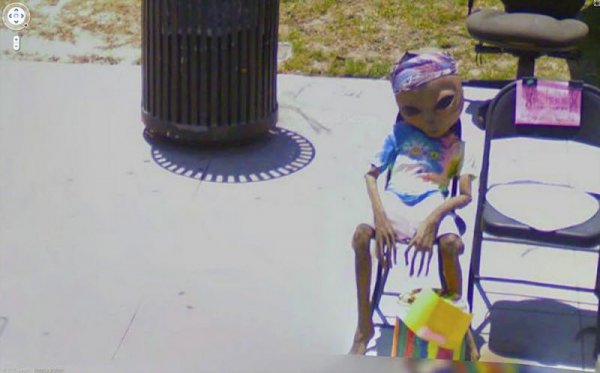 Необычные снимки, сделанные камерами Google Street View