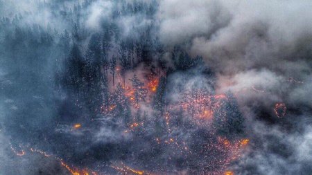 Сибирь в огне: пожар охватил 3 млн гектар