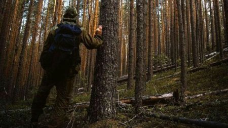 Блогер заблудился в лесу, снимая видео о том, как не заблудиться в лесу