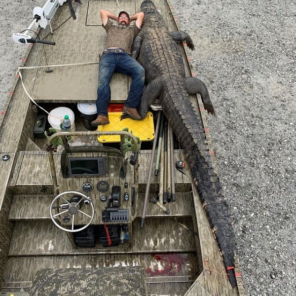 В Джорджии охотники поймали огромного аллигатора-динозавра