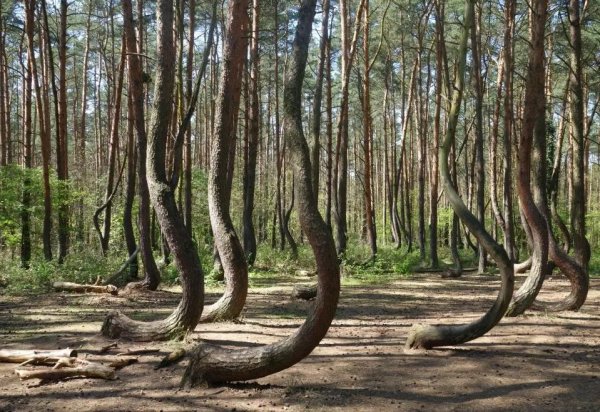 Удивительные пейзажи нашей планеты