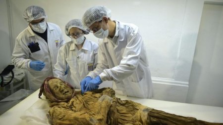 Открытия исследователей после изучения останков 500-летней мумии монаха