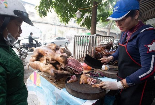 На мясном рынке во Вьетнаме делают шашлык из собак