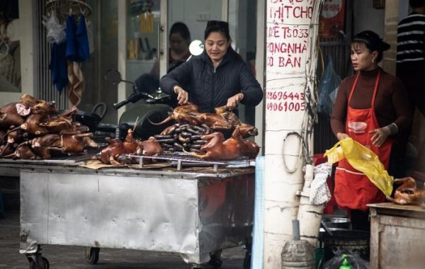 На мясном рынке во Вьетнаме делают шашлык из собак