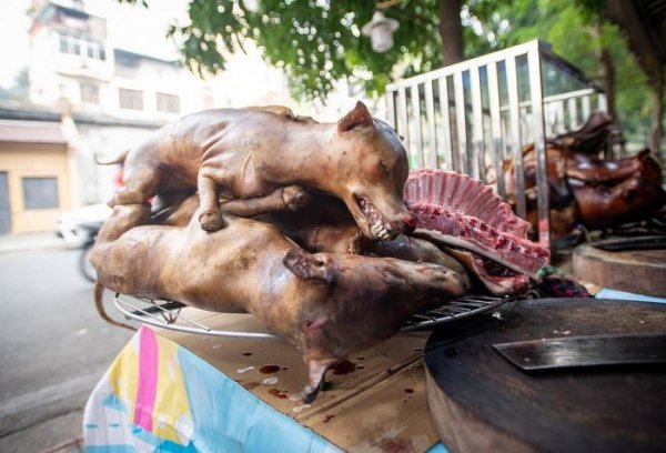 На мясном рынке во Вьетнаме делают шашлык из собак