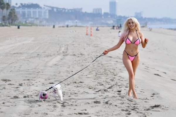 25-летняя американская актриса и модель Кортни Стодден (Courtney Stodden) на пляже в Санта-Монике