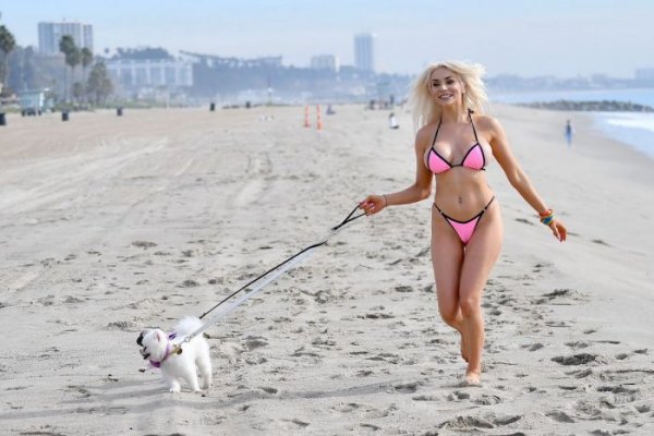 25-летняя американская актриса и модель Кортни Стодден (Courtney Stodden) на пляже в Санта-Монике