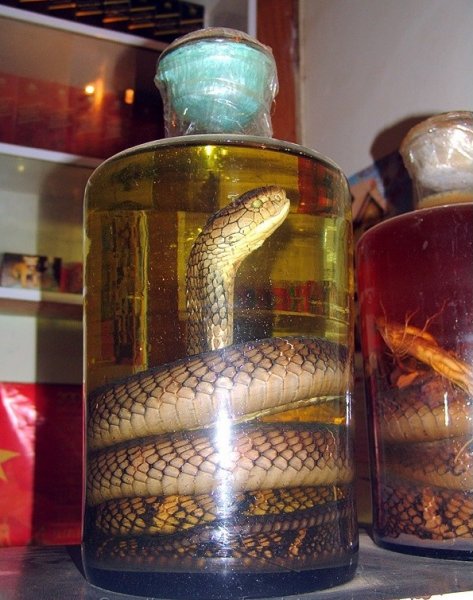 Вино со змеями