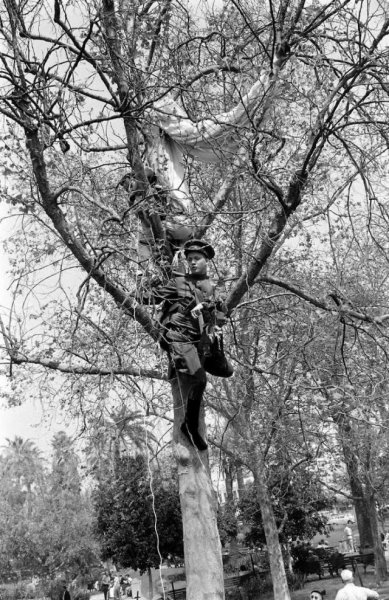 Винегрет исторических фотографий прошлого