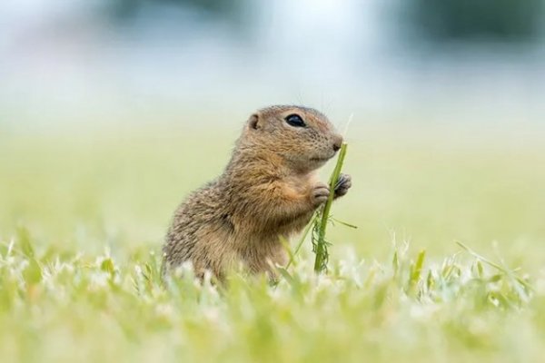 Болезни, которые могут убить человека за один день