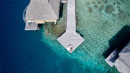 Удивительные свадебные фотографии, сделанные беспилотником