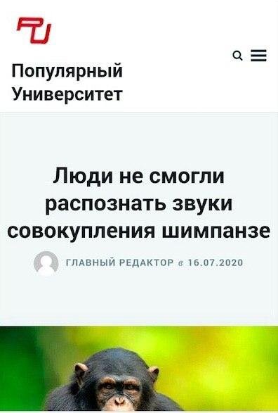 Странные и смешные заголовки в СМИ