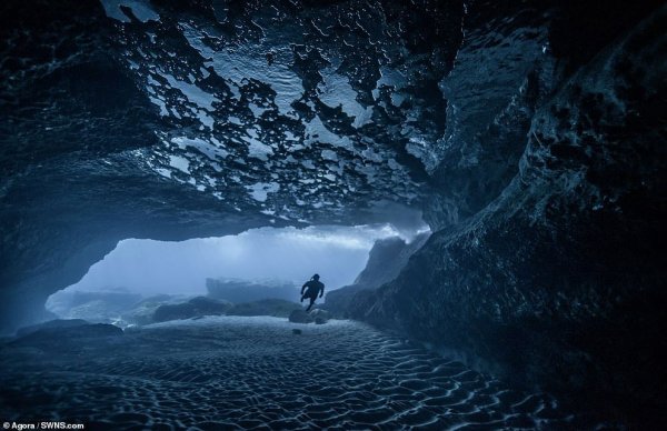 Лучшие фотографии водного мира